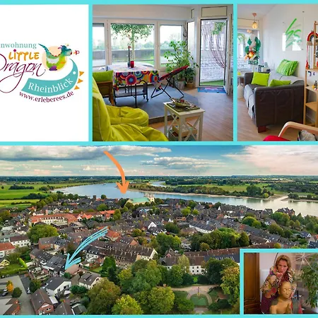 Little Dragon - Rheinblick