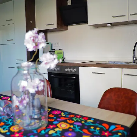 Little Dragon - Rheinblick * Rees