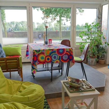 Little Dragon - Rheinblick *