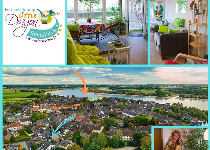 Little Dragon - Rheinblick