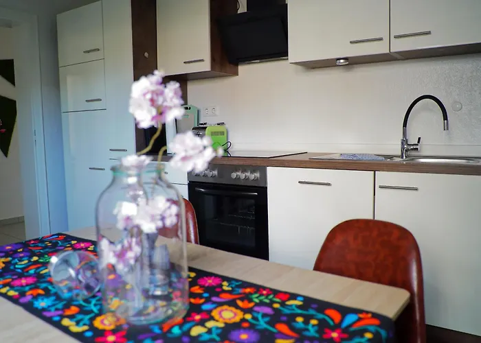 Little Dragon - Rheinblick * Rees