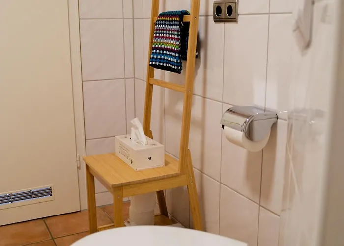 Little Dragon - Rheinblick 公寓 里斯