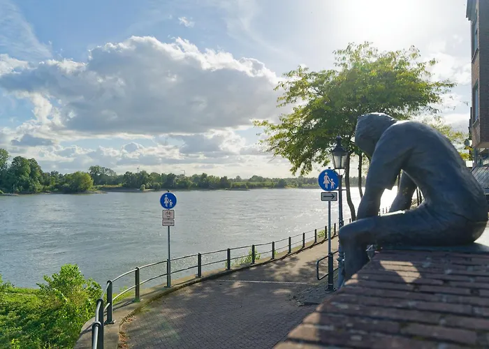 Little Dragon - Rheinblick 公寓 里斯