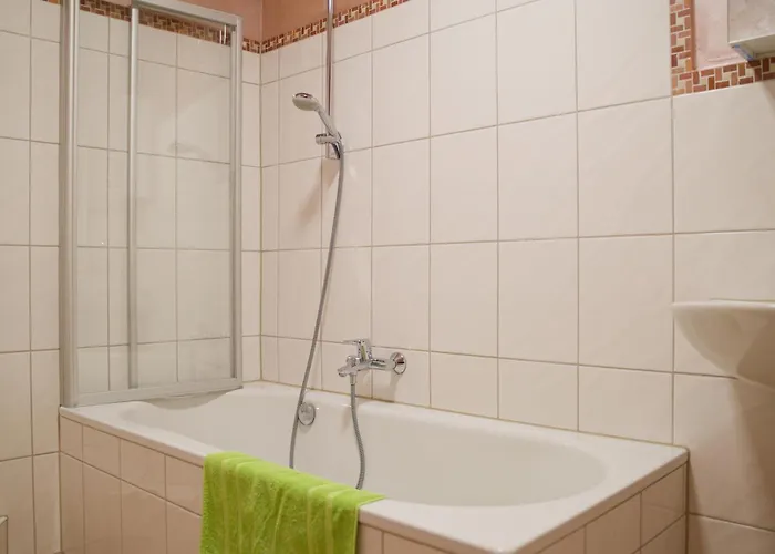 Little Dragon - Rheinblick 里斯